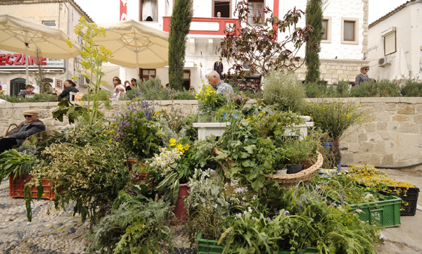 Alaçatı Ot Festivali'ne yoğun ilgi