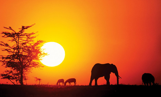 Yolcu sayısında Afrika ilk sırada