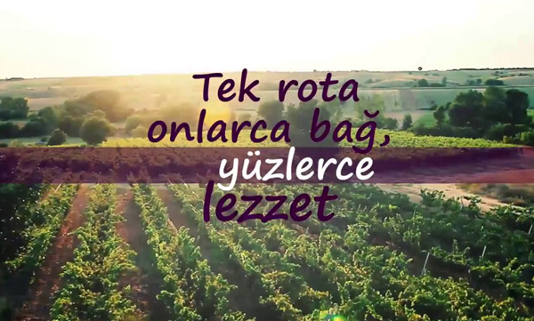 Yılın Turizm Ödülü