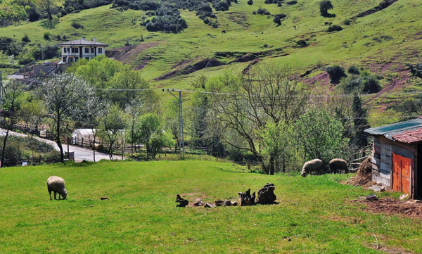 Çanakkale, Perşembe ve Şile Gelecek Turizmde dedi!