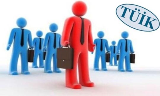 TÜİK Hanehalkı İşgücü İstatistikleri'ni açıkladı