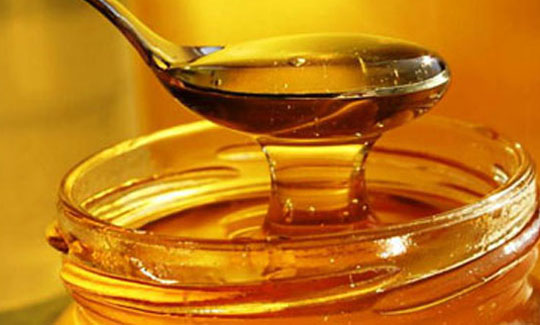 Balda şampiyon Ordu