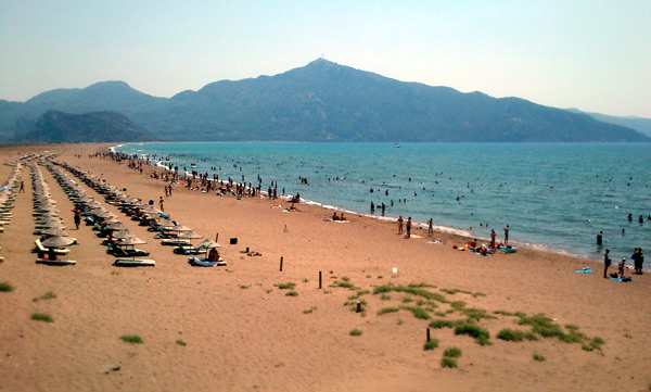 İztuzu Plajı için çevrecilerden