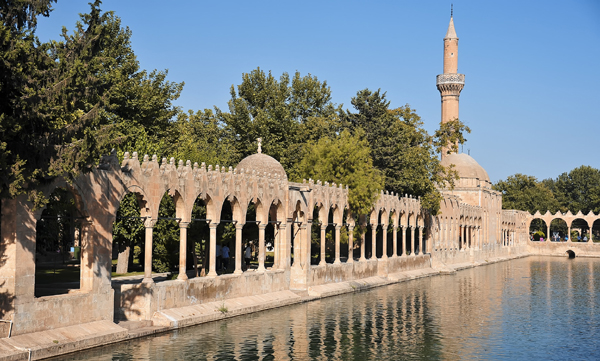 TUROB, Şanlıurfa'ya temsilcilik açtı