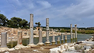 Müze sayısı arttı, eser sayısı azaldı