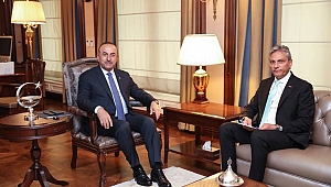 Bağlıkaya, Dışişleri Bakanı Çavuşoğlu'nu ziyaret etti
