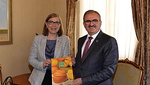 Finlandiya'dan gelecek turist sayısında artış bekleniyor