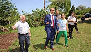 Ordu, ekoturizm açısından büyük bir potansiyele sahip