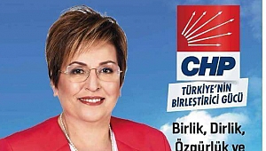 Turizmci Nesrin Göçhan, CHP'den aday adayı