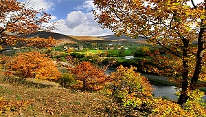 1650 rakımlı Akkuş Argan Yaylası turizme açılıyor