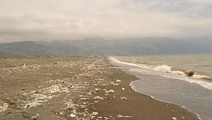 Denizlerdeki maskeler Akdeniz'deki deniz anaları sayısını geçecek
