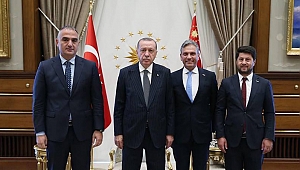 Cumhurbaşkanı Erdoğan, Firuz Bağlıkaya'yı kabul etti