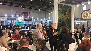 Bodrumlu turizmciler 2019'dan umutlu
