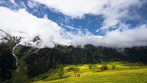 Doğu Karadeniz'de turizm 12 aya yayılacak