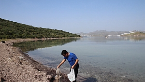 Bodrum Belediye Başkanı Aras, kıyı temizliği yaptı