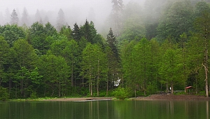 Artvin doğa turizminin merkezi oluyor