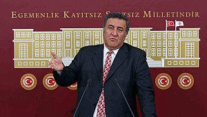 Türkiye'de 35 bin 425 yabancı plakalı araç bulunuyor