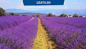 Gelecek Turizmde başvuru tarihi 28 Haziran'a kadar uzatıldı