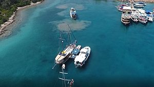 Muğla'da mavi ve yeşili koruyorlar