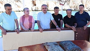 Ahtapot gözetiminde su altı kazısı