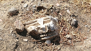 Bodrum'da kaçak dökülen hafriyattan tarih çıktı