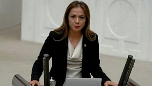CHP Genel Başkan Yardımcısı İlgezdi: