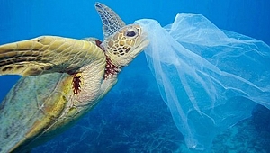 Tek kullanımlık plastiklerin yasaklanmasına ilişkin yasa teklifi