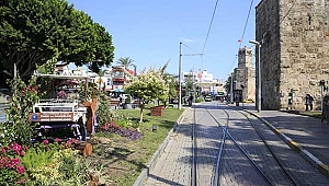 Faaliyetlerine son verilen faytonlar Antalya'yı süslüyor