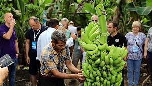 Gastronomi çalışma turunun Alanya ayağı tamamlandı
