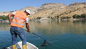 Halfeti'lilerden turistlere çağrı