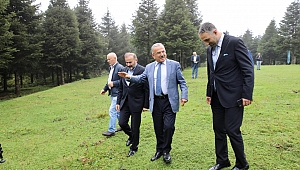Ordu'da yaylalar sağlık turizmine kazandırılıyor