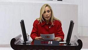 ''Biz yabancı turist ödesin dedik, onlar vatandaş ödesin dediler''