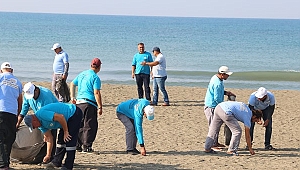 Hatay sahillerinde 900 ton atık toplandı