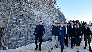 Vali Gül,