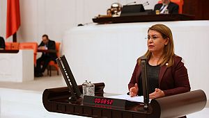 Atlı faytonlarla ilgili müjde