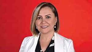 SAYD, ''Yasa taslağı mevcut haliyle meclise sevk edilmeli''