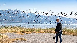 Gediz Deltası'na 'Doğa Rotası' oluşturulacak