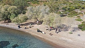 Bodrum'da doğa kazanacak