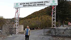 Türkiye'nin ilk ve tek hayvan bakım oteli
