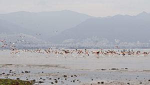 UNESCO Dünya Mirası olmaya aday