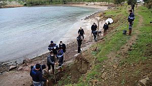 Bodrum'da sahiller ağaçlandırılıyor