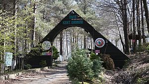 Karadeniz'in denize en yakın ormanı turizme kazandırılıyor