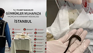 Sabiha Gökçen Havalimanında binlerce