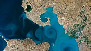 Van Gölü için çağrı: Oy kullan