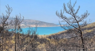Orman yangınları turizm STK'larının gündeminde
