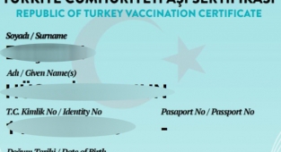 Aşı pasaportunu alan yurtdışı seyahatine çıkıyor