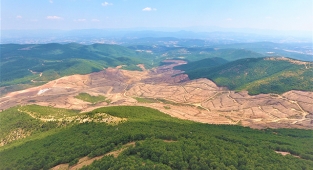 Kaz Dağları'ndan sevindirici haber