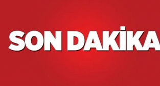 Piste inen uçağın önüne atladılar