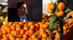 Turizm önce mandalinayı vurdu