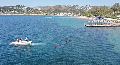 Bitez'de deniz dibi temizliği